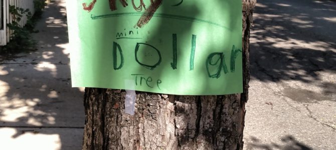 Mini Dollar Tree