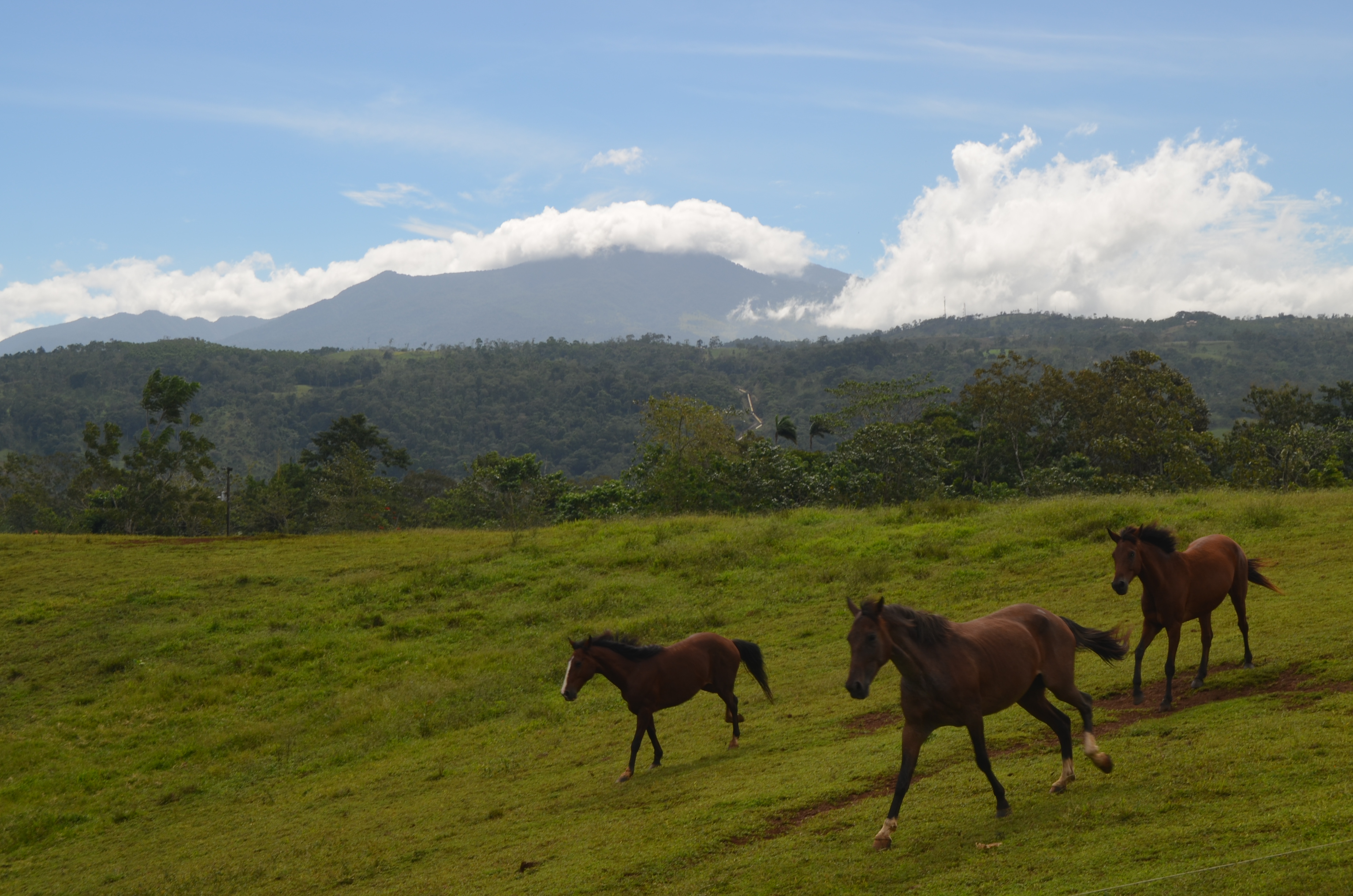 Centaur Costa Rica