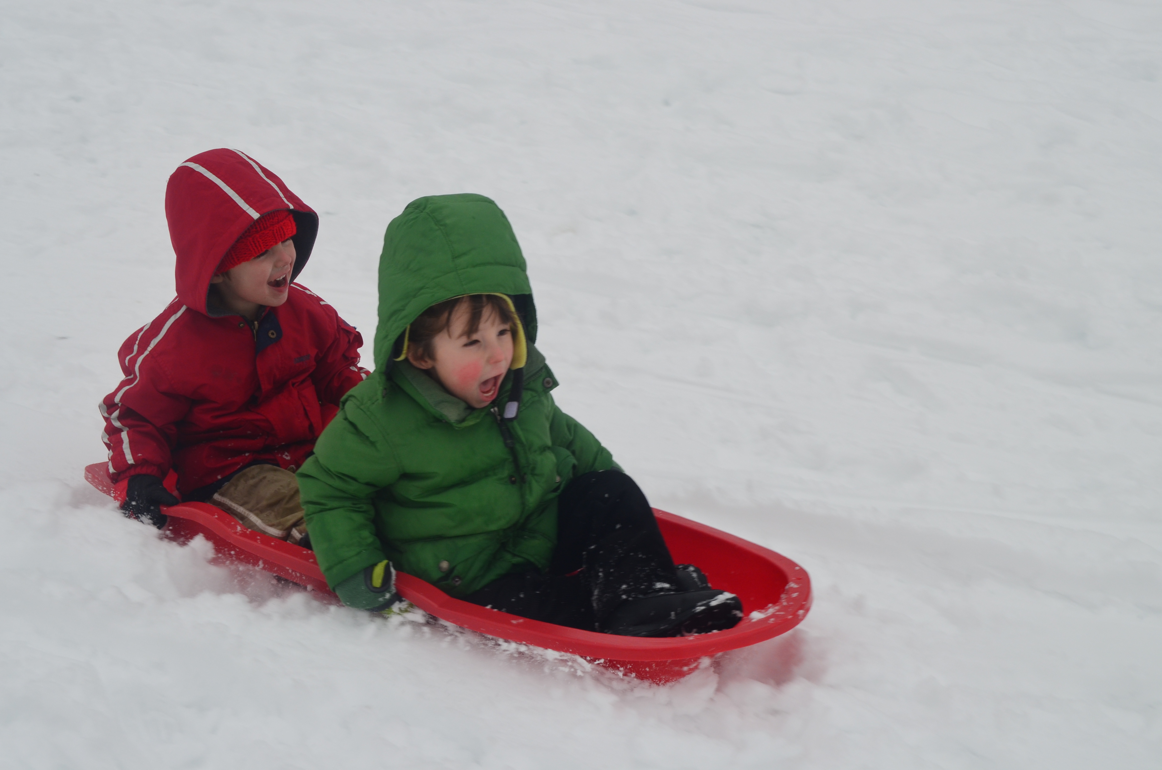 Surviving Winter