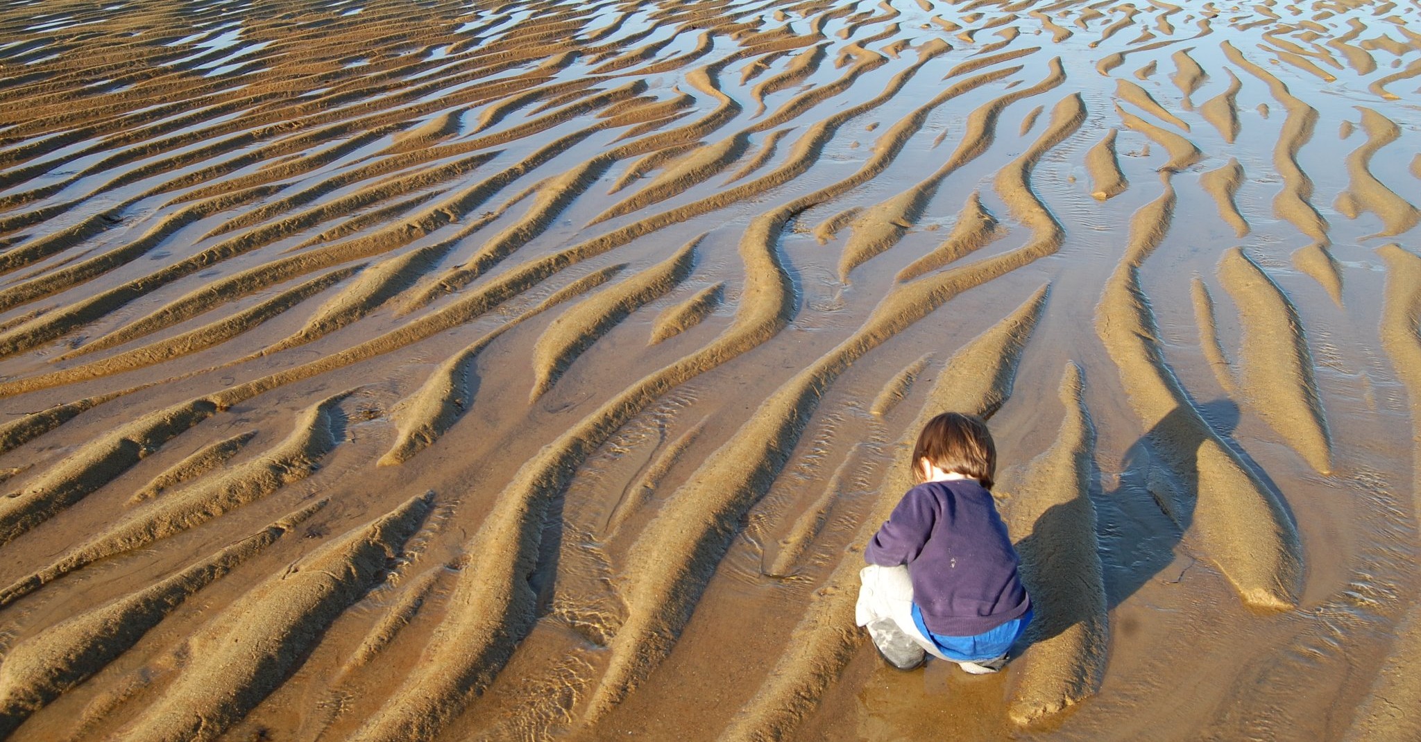Cape Cod for Kids