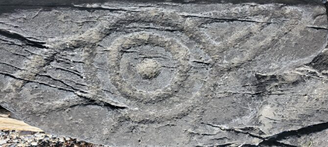 Petroglyph Beach